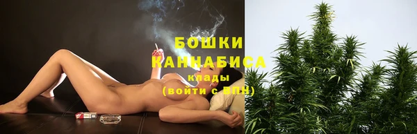 PSILOCYBIN Верея