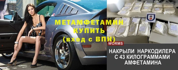 PSILOCYBIN Верея