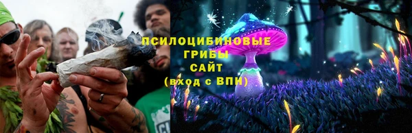 PSILOCYBIN Верея