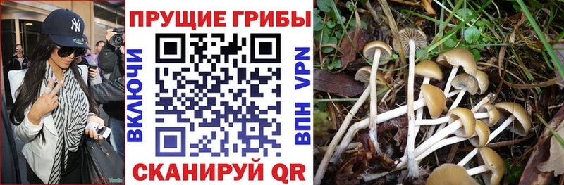 Псилоцибиновые грибы ЛСД  Кущёвская 