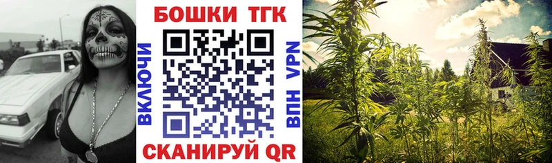 Шишки марихуана конопля  как найти   Кущёвская 